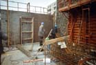 Cliquer pour agrandir